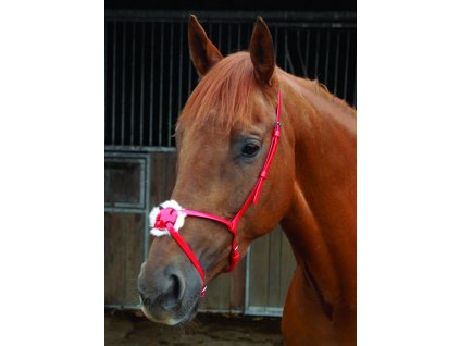 breeze up synthetic grackle red 001