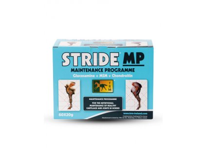 STRIDE MP