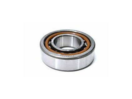 CYL.ROLL BEARING NJ205