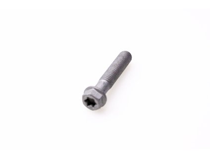 HH COLLAR SCREW M8X40 TX40