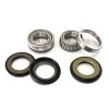 Bearing Worx sada ložisek krku řízení KTM 125-950cc všechny modely, Husqvarna, Gas Gas, Beta, Husaberg