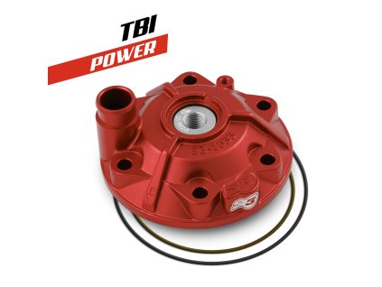 Hlava válce (Mod: Power) TBI GASGAS 300