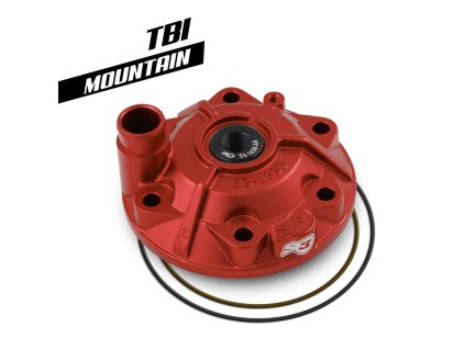 Hlava válce (Mod: Mountain) TBI GASGAS 250