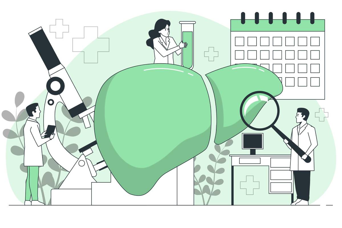 Co pomáhá na játra: ideálně upravit životosprávu a účinné bylinky