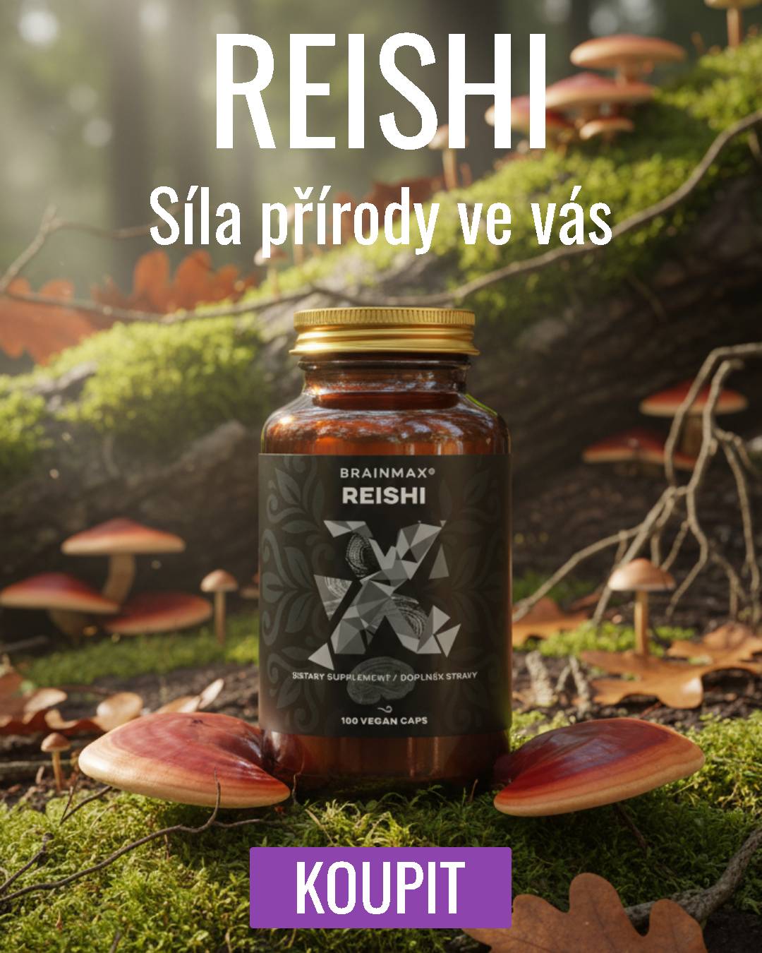 BrainMax Reishi extrakt