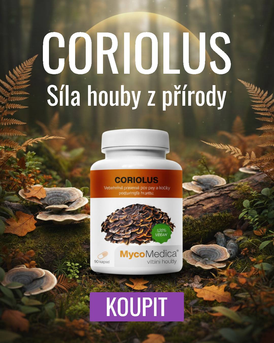 MycoMedica Coriolus