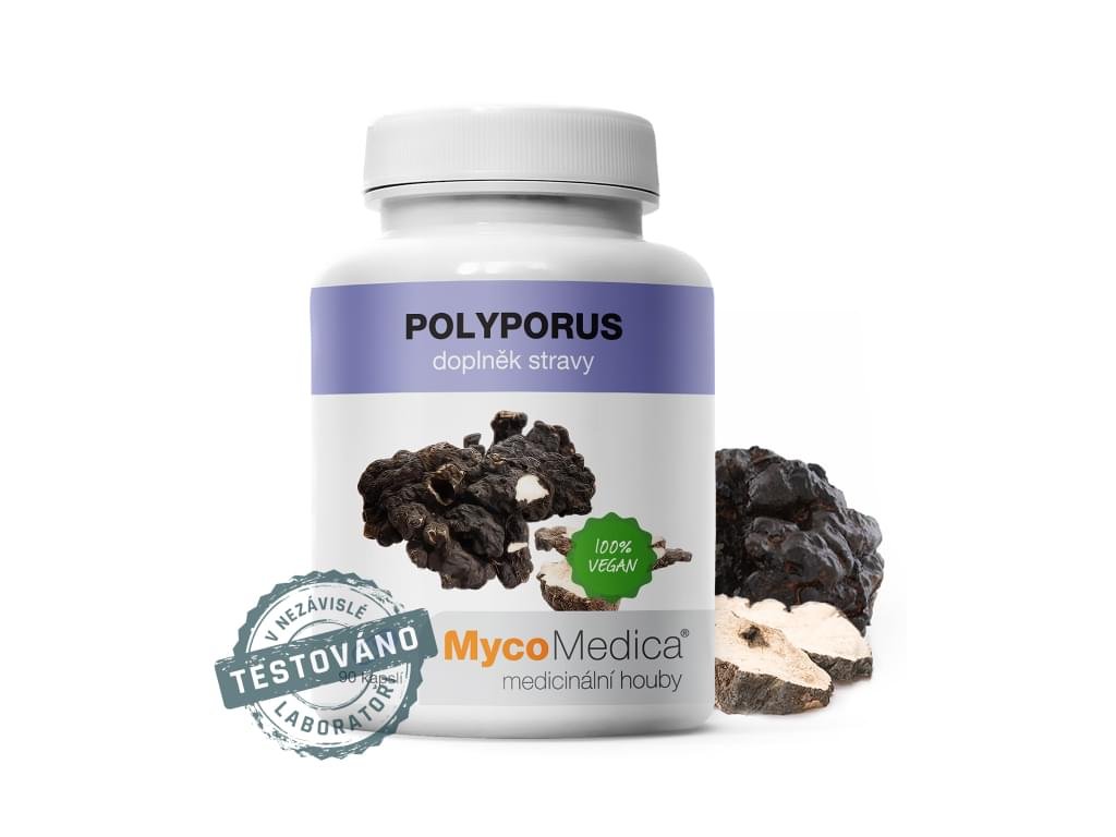 10626 4 mycomedica polyporus