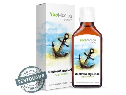 113867 042 ukotvena myslenka