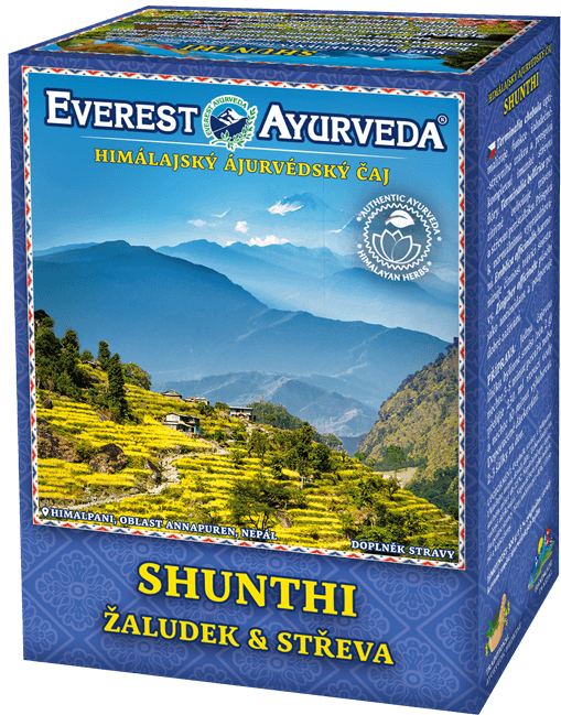 Everest Ayurveda SHUNTHI Žaludek a střeva 100 g