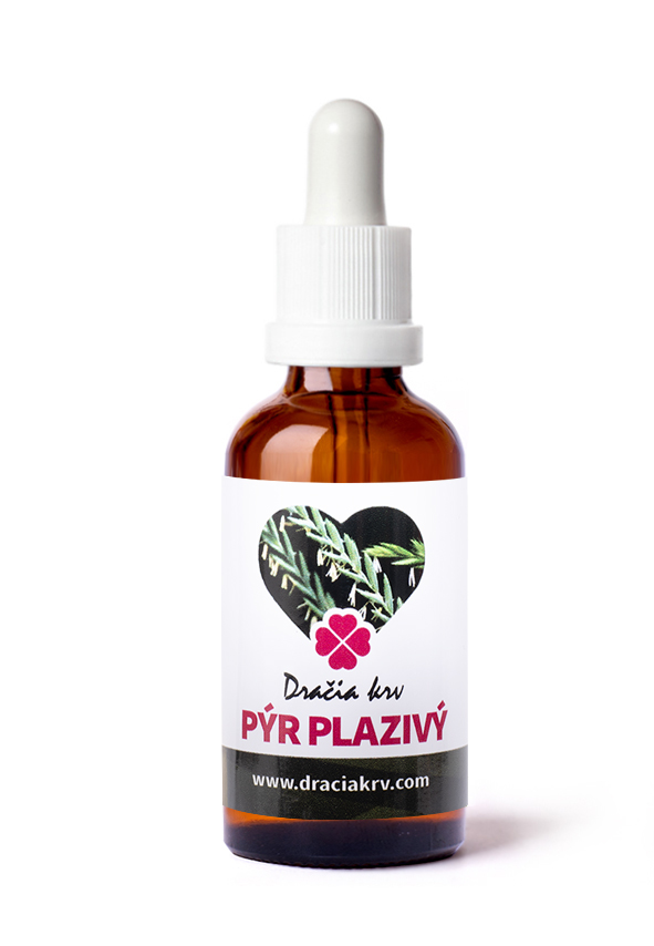 Trávniček Trávníček Dračí krev - Pýr plazivý