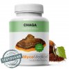10638 4 mycomedica chaga 90 kapsli