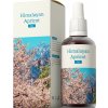 ENERGY Himalayan Apricot oil