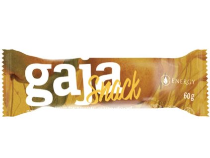 gaja snack