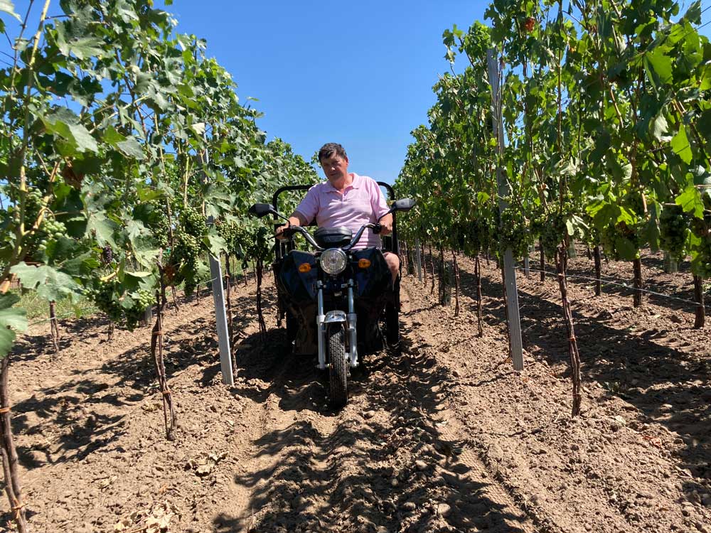 Za dobrým vínom z Moravy stojí ADVENTO MAXI