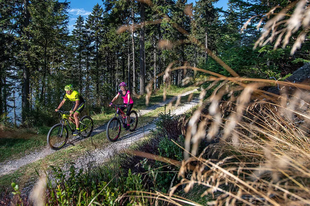 Potrebujem už prejsť na elektrobicykel!?