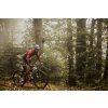 Pánska bunda FORCE ARROW softshell, bordová