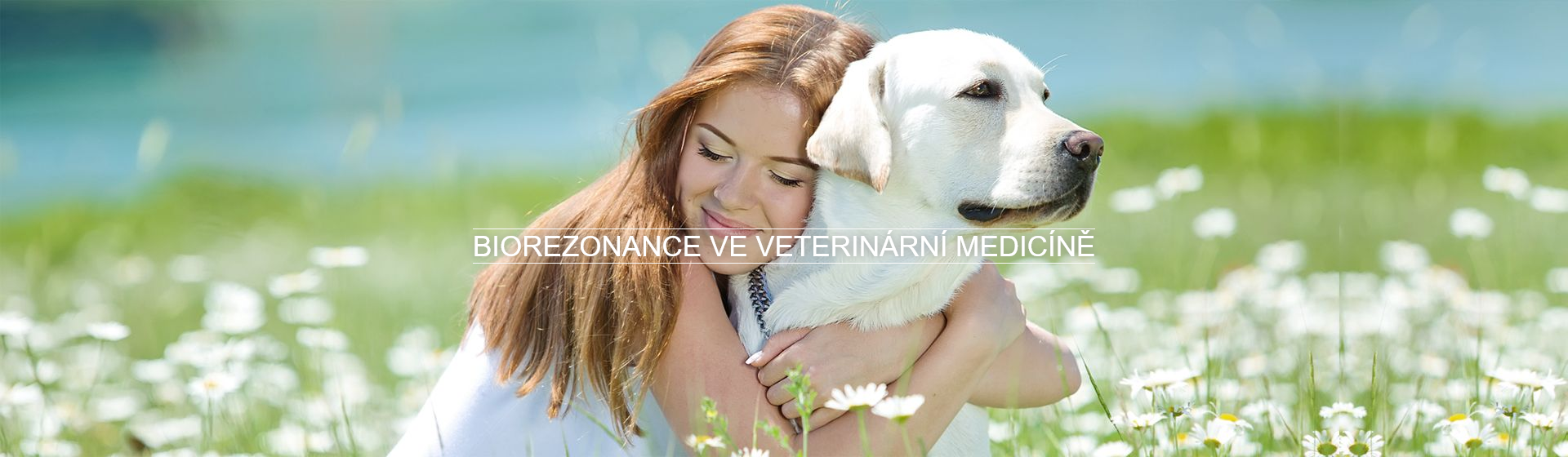 Biorezonance ve vetrinární medicíně
