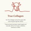 6 ancient brave true collagen