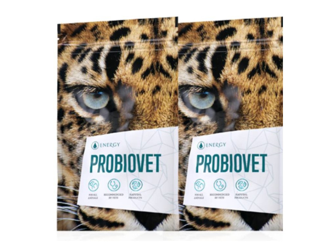 probiotika-pro-psy
