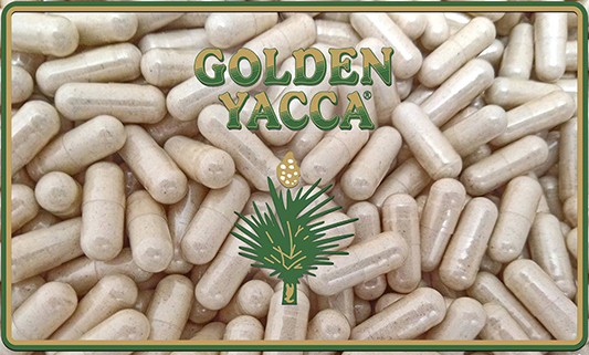 Golden Yacca - detoxikace pomocí saponinů