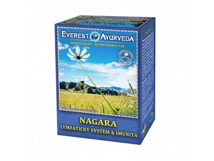 everest ayurveda nagara