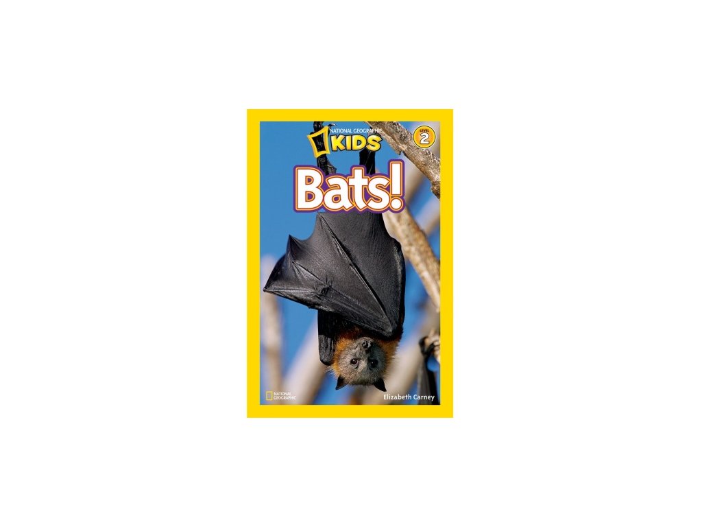 2997 bats level 3