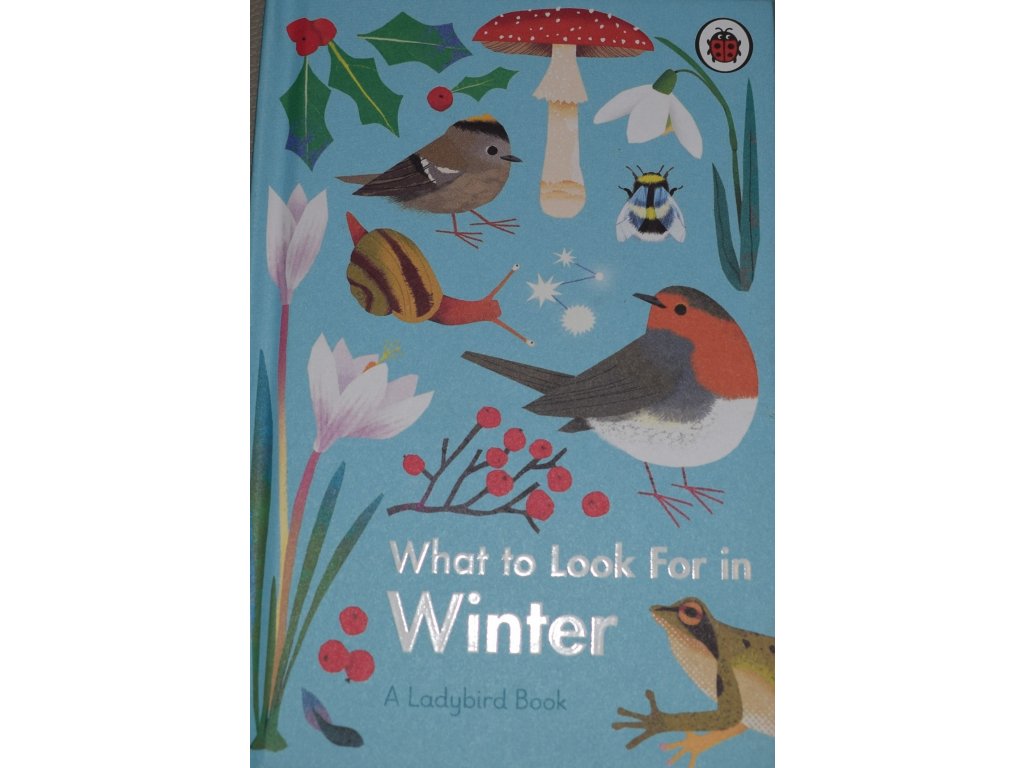 English　Winter　What　Children　For　Look　to　for　in　Books