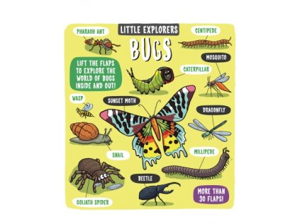 127 2 bugs little explorers