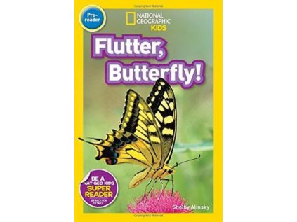 2907 flutter butterfly level 1