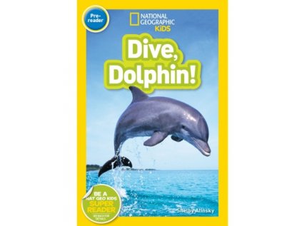 2919 dive dolphin level 1
