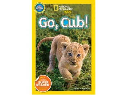 2928 go cub level 1