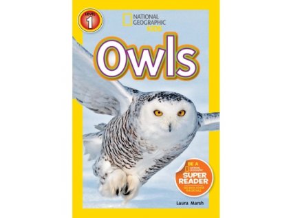 2946 owls level 2