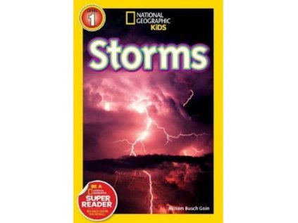 2949 storms level 2