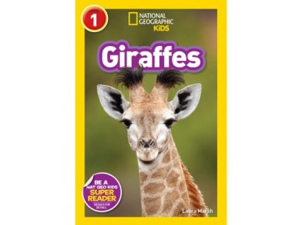2952 giraffes level 2