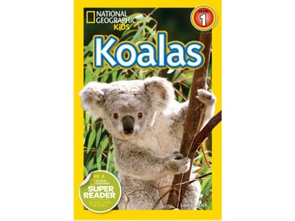 2955 koalas level 2