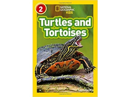 2961 turtles and tortoises level 2