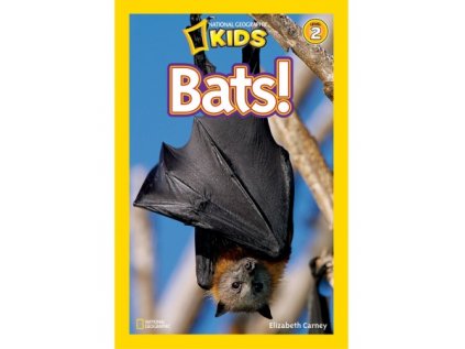 2997 bats level 3