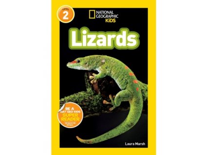 3006 lizards level 3