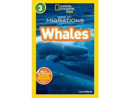 3057 whales level 4