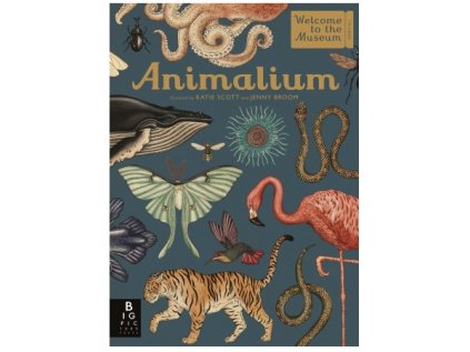 495 3 animalium