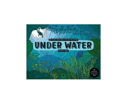 549 1 under water activity book