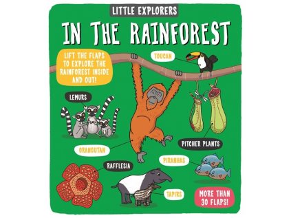 Little Explorers: In the Rainforest