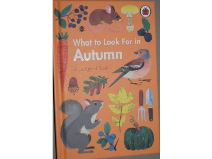 What to Look For in Autumn