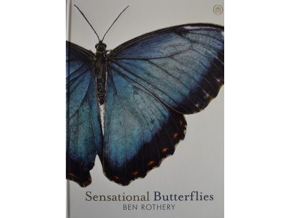 Sensational Butterflies