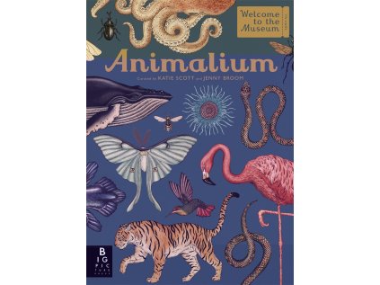 Animalium
