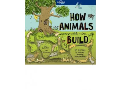 936 1 how animals build