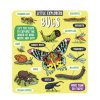 127 2 bugs little explorers