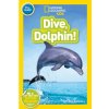 2919 dive dolphin level 1