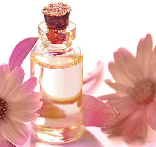 UNIKÁTNÍ VÝŽIVA V PROFESIONÁLNÍ LINII 20-TOXICITY