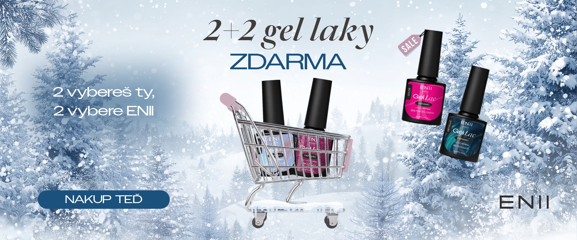2+2  zdarma